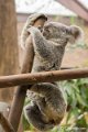 _DSC0098