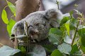 _DSC0181