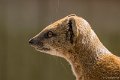 _DSC0020