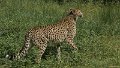 _DSC0268
