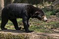 _DSC0331