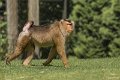 _DSC0337