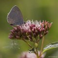 _DSC0380