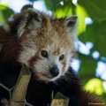 _DSC0001