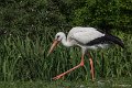 _DSC0660