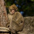 _DSC0440