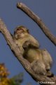 _DSC0457