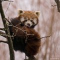 _DSC0040