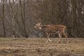 _DSC0067