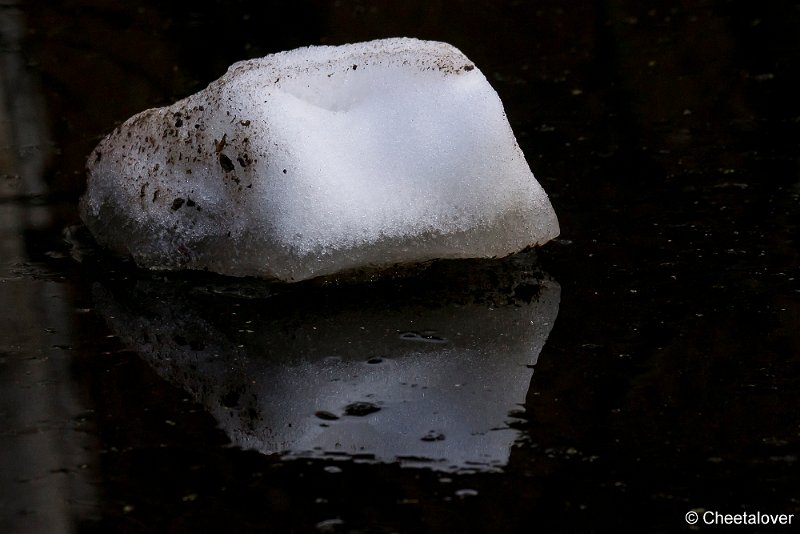_DSC0132.JPG - Art of Winter