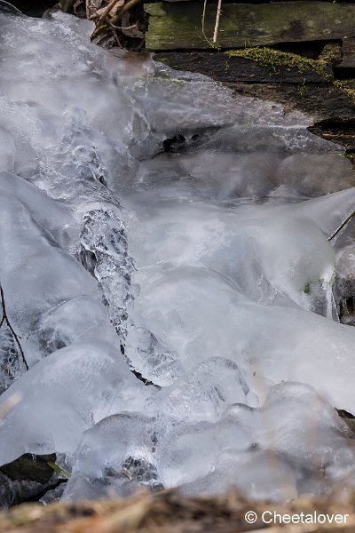 _DSC0172.JPG - Art of Winter