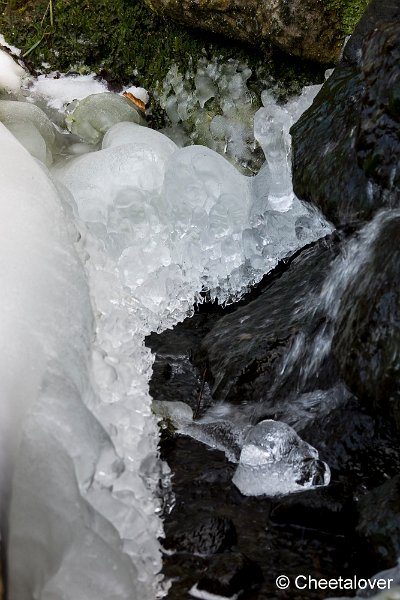 _DSC0218.JPG - Art of Winter