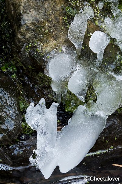 _DSC0237.JPG - Art of Winter