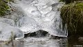 _DSC0136