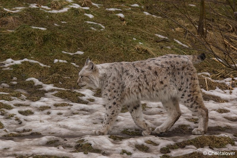 _DSC0043.JPG - Linx