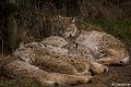_DSC0019