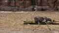 _DSC0101