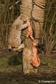 _DSC0190