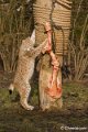 _DSC0193