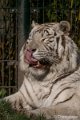 _DSC0125