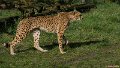 _DSC0278