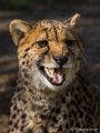 _DSC0326