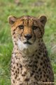 _DSC0388