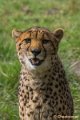 _DSC0390