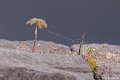 _DSC0337