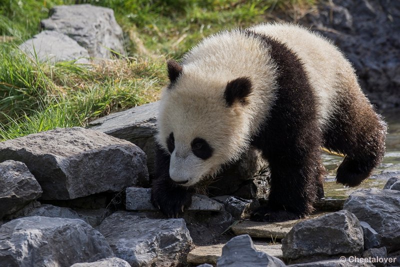 _DSC0018.JPG - Tian Bao
