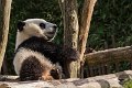 _DSC0041