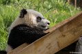 _DSC0075