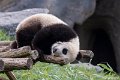 _DSC0095
