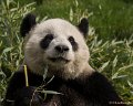 _DSC0190