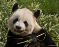 _DSC0192