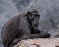 _DSC0346