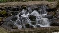_DSC0132