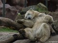 _DSC0142