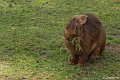 _DSC0211