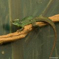 _DSC0341