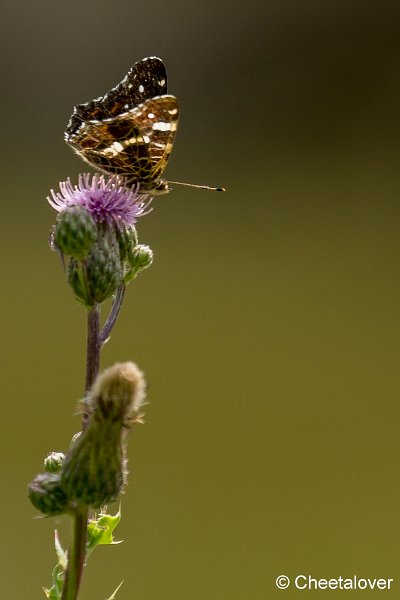 _DSC0303.JPG - Landkaartje