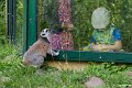 _DSC0045