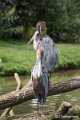 _DSC0220