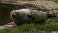 _DSC0256