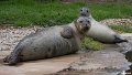 _DSC0262