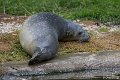_DSC0274