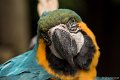 _DSC0002