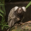 _DSC0079