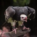 _DSC0151