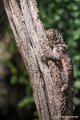 _DSC0299